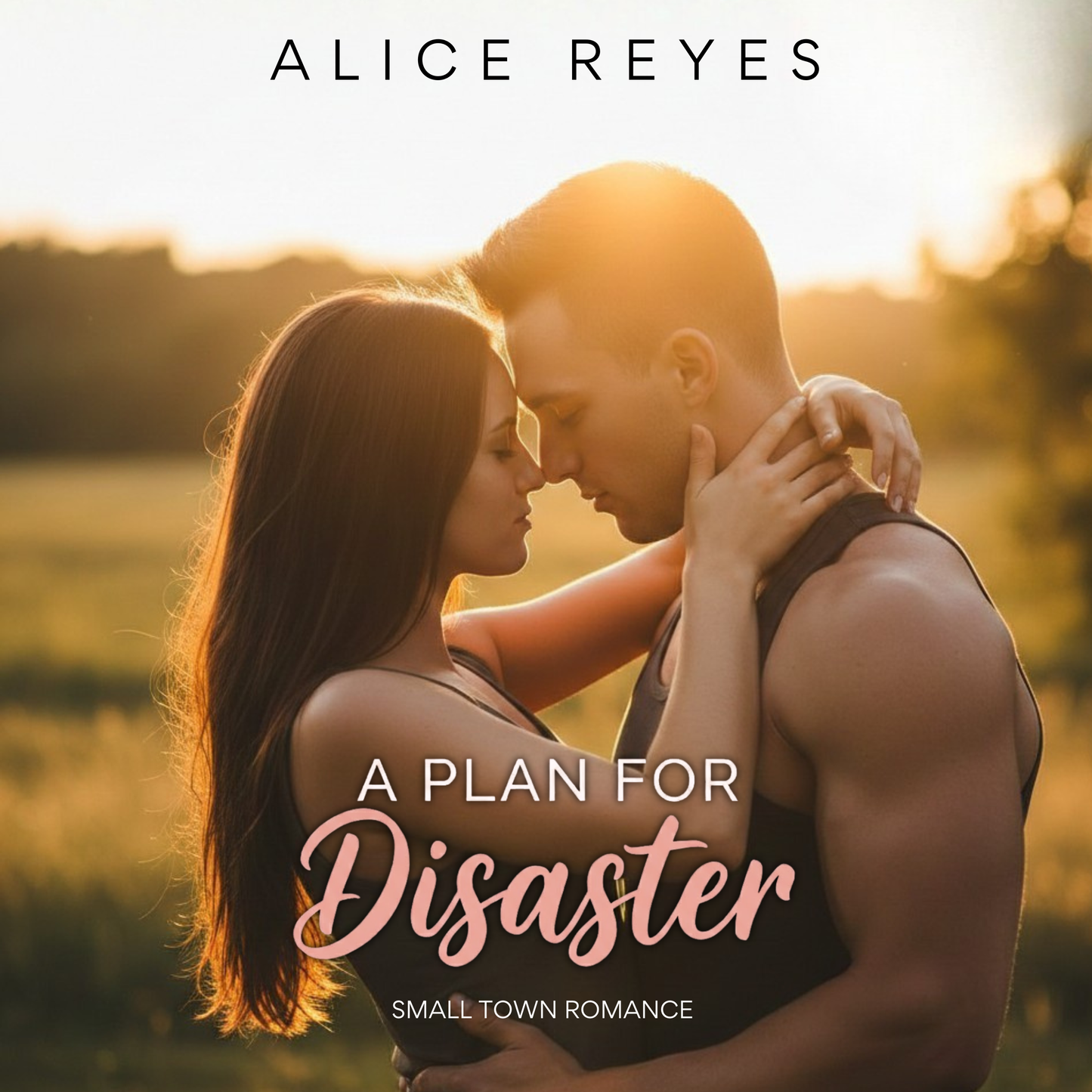 A Plan for Disaster: Small Town Romance